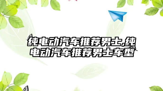 純電動汽車推薦男士,純電動汽車推薦男士車型