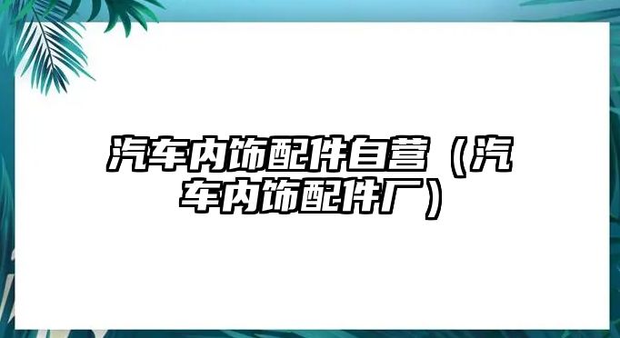 汽車內(nèi)飾配件自營（汽車內(nèi)飾配件廠）