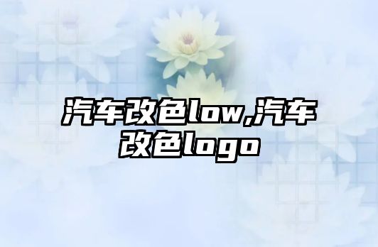 汽車改色low,汽車改色logo