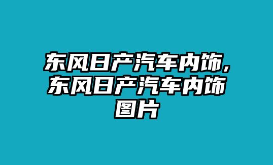 東風(fēng)日產(chǎn)汽車內(nèi)飾,東風(fēng)日產(chǎn)汽車內(nèi)飾圖片