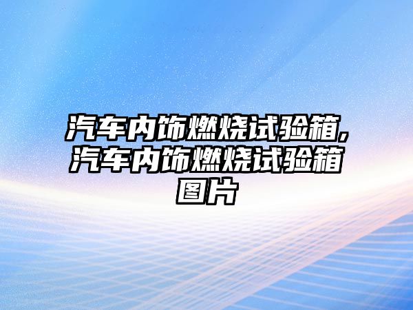 汽車內(nèi)飾燃燒試驗(yàn)箱,汽車內(nèi)飾燃燒試驗(yàn)箱圖片