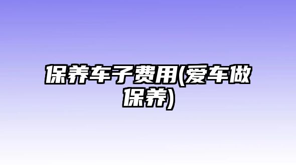 保養(yǎng)車子費(fèi)用(愛車做保養(yǎng))