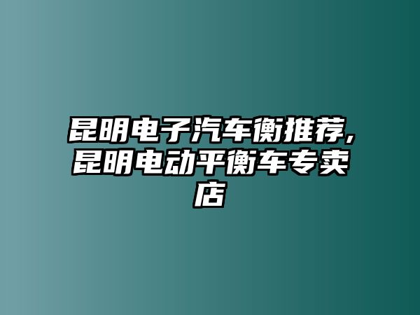 昆明電子汽車衡推薦,昆明電動平衡車專賣店