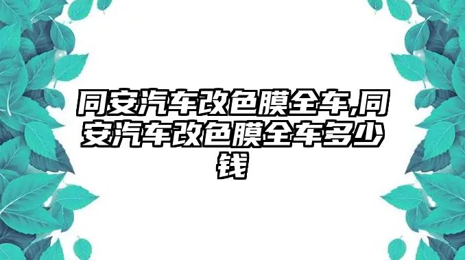 同安汽車改色膜全車,同安汽車改色膜全車多少錢