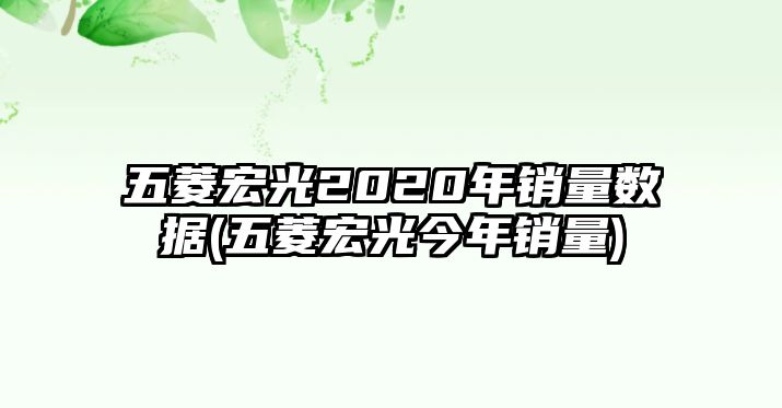 五菱宏光2020年銷(xiāo)量數(shù)據(jù)(五菱宏光今年銷(xiāo)量)