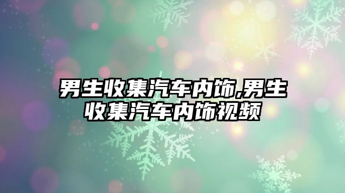 男生收集汽車內飾,男生收集汽車內飾視頻