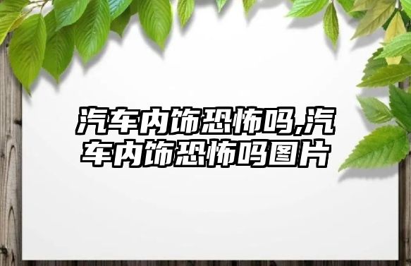 汽車內(nèi)飾恐怖嗎,汽車內(nèi)飾恐怖嗎圖片