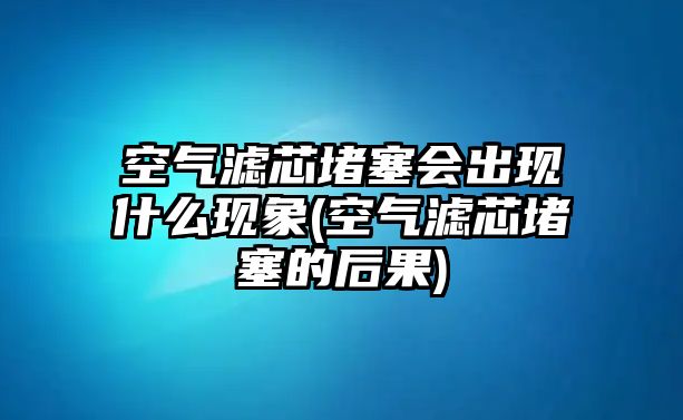 空氣濾芯堵塞會(huì)出現(xiàn)什么現(xiàn)象(空氣濾芯堵塞的后果)