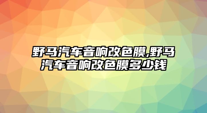 野馬汽車音響改色膜,野馬汽車音響改色膜多少錢