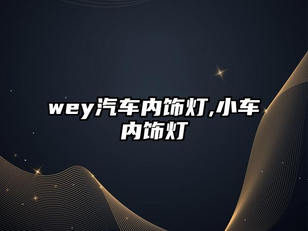 wey汽車內飾燈,小車內飾燈