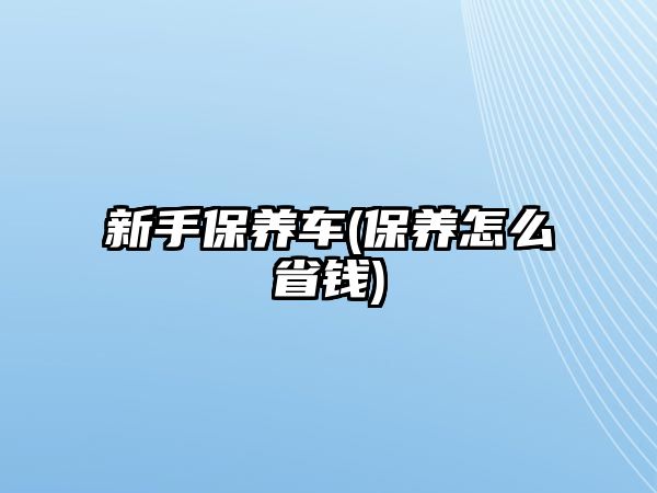 新手保養(yǎng)車(保養(yǎng)怎么省錢)