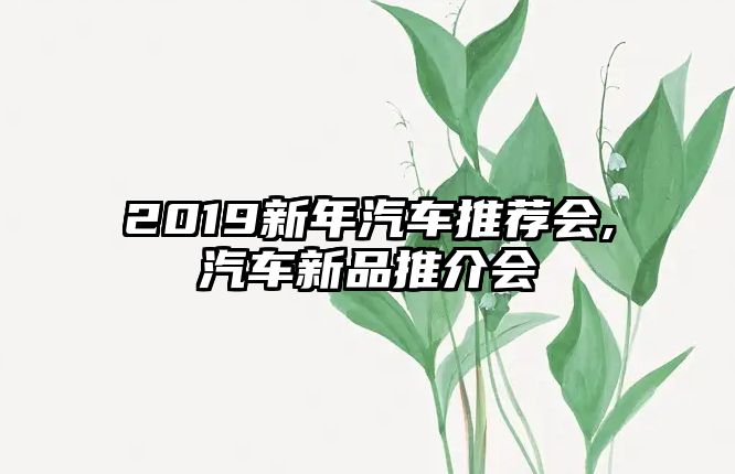 2019新年汽車推薦會(huì),汽車新品推介會(huì)