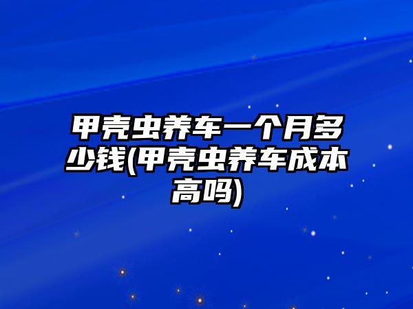 甲殼蟲養(yǎng)車一個(gè)月多少錢(甲殼蟲養(yǎng)車成本高嗎)