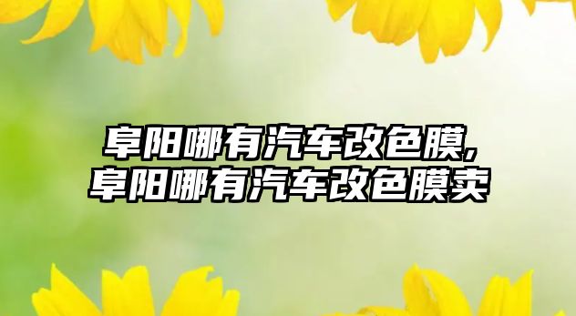 阜陽哪有汽車改色膜,阜陽哪有汽車改色膜賣