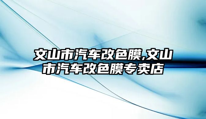 文山市汽車改色膜,文山市汽車改色膜專賣店