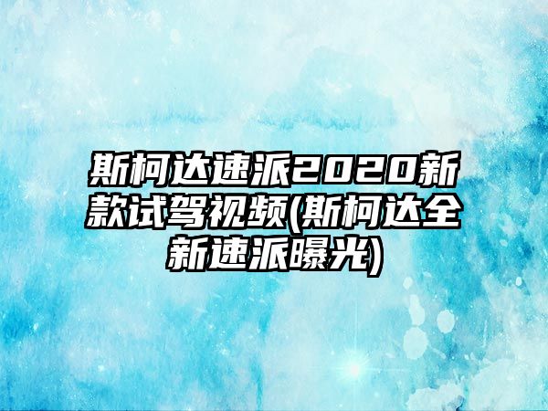 斯柯達(dá)速派2020新款試駕視頻(斯柯達(dá)全新速派曝光)