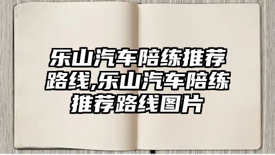 樂山汽車陪練推薦路線,樂山汽車陪練推薦路線圖片