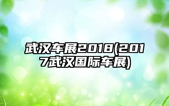 武漢車展2018(2017武漢國(guó)際車展)