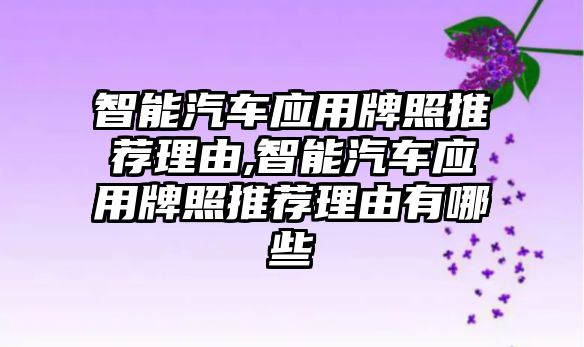 智能汽車應(yīng)用牌照推薦理由,智能汽車應(yīng)用牌照推薦理由有哪些