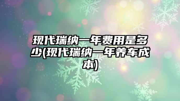 現(xiàn)代瑞納一年費(fèi)用是多少(現(xiàn)代瑞納一年養(yǎng)車成本)