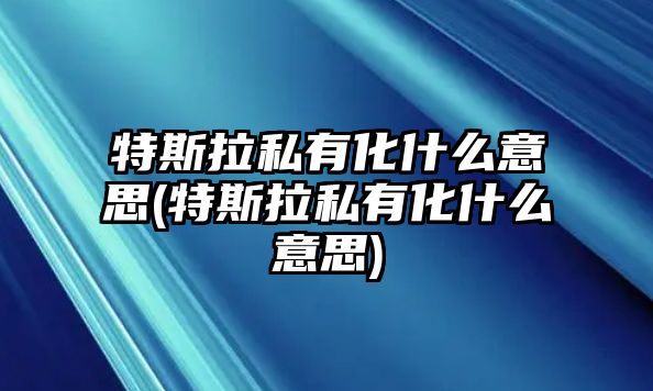 特斯拉私有化什么意思(特斯拉私有化什么意思)