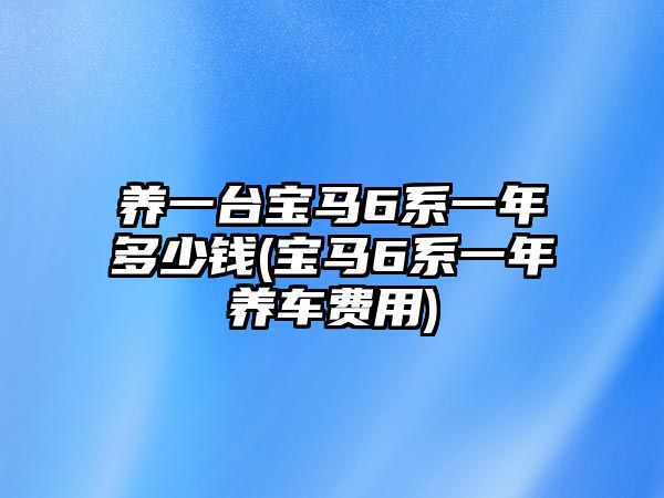 養(yǎng)一臺寶馬6系一年多少錢(寶馬6系一年養(yǎng)車費用)