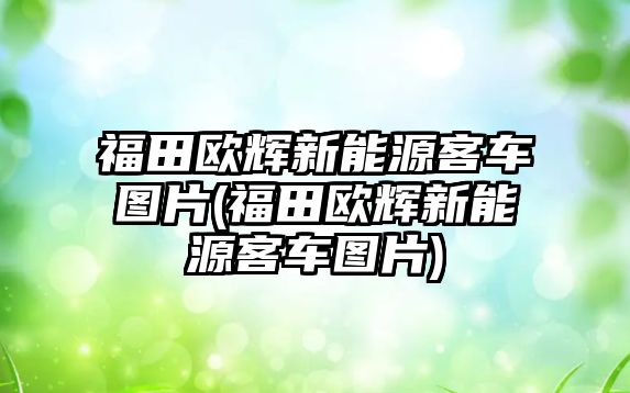 福田歐輝新能源客車圖片(福田歐輝新能源客車圖片)