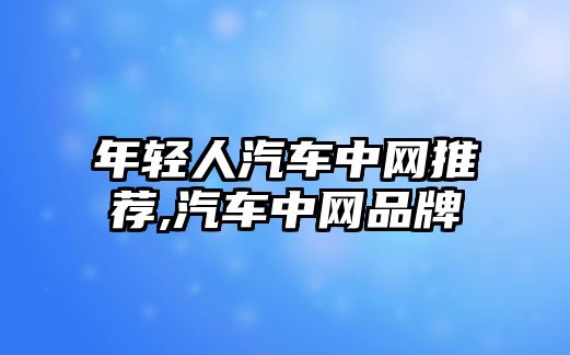 年輕人汽車中網(wǎng)推薦,汽車中網(wǎng)品牌