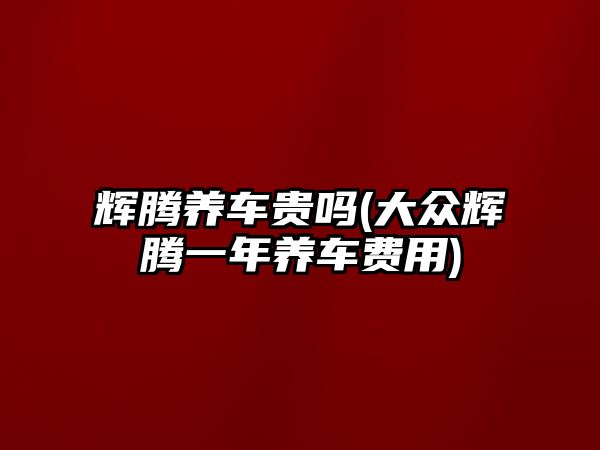 輝騰養(yǎng)車貴嗎(大眾輝騰一年養(yǎng)車費(fèi)用)