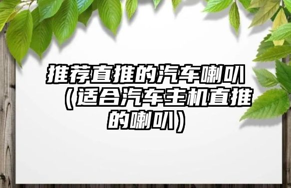 推薦直推的汽車(chē)?yán)龋ㄟm合汽車(chē)主機(jī)直推的喇叭）