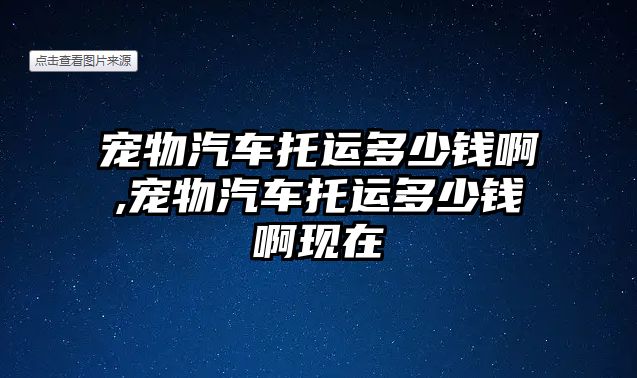 寵物汽車托運多少錢啊,寵物汽車托運多少錢啊現(xiàn)在