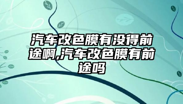 汽車改色膜有沒(méi)得前途啊,汽車改色膜有前途嗎