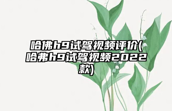 哈佛h9試駕視頻評價(jià)(哈弗h9試駕視頻2022款)