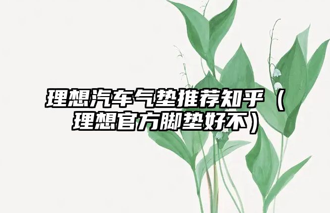 理想汽車氣墊推薦知乎（理想官方腳墊好不）