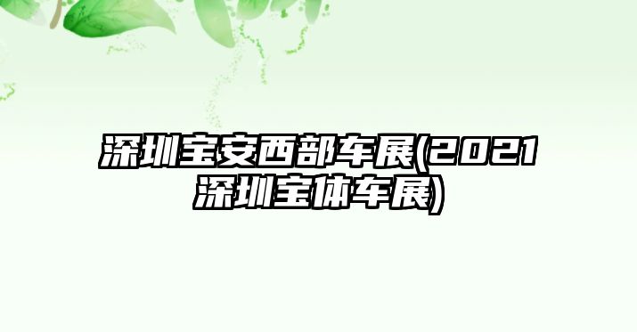 深圳寶安西部車展(2021深圳寶體車展)