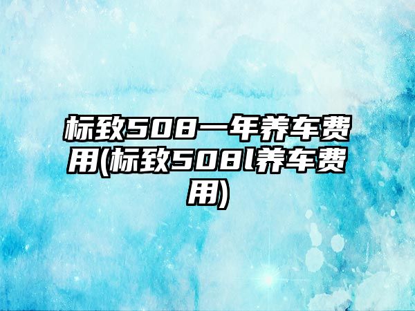 標(biāo)致508一年養(yǎng)車費(fèi)用(標(biāo)致508l養(yǎng)車費(fèi)用)