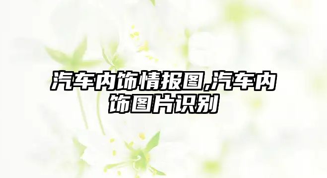 汽車內飾情報圖,汽車內飾圖片識別