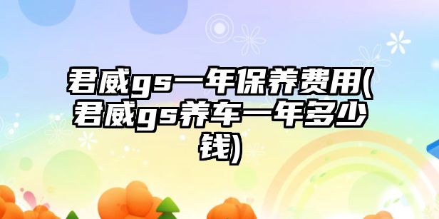 君威gs一年保養(yǎng)費(fèi)用(君威gs養(yǎng)車一年多少錢)