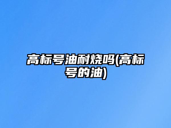 高標(biāo)號(hào)油耐燒嗎(高標(biāo)號(hào)的油)