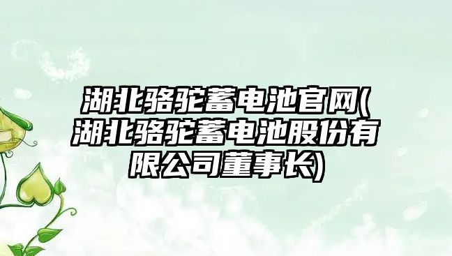 湖北駱駝蓄電池官網(wǎng)(湖北駱駝蓄電池股份有限公司董事長)