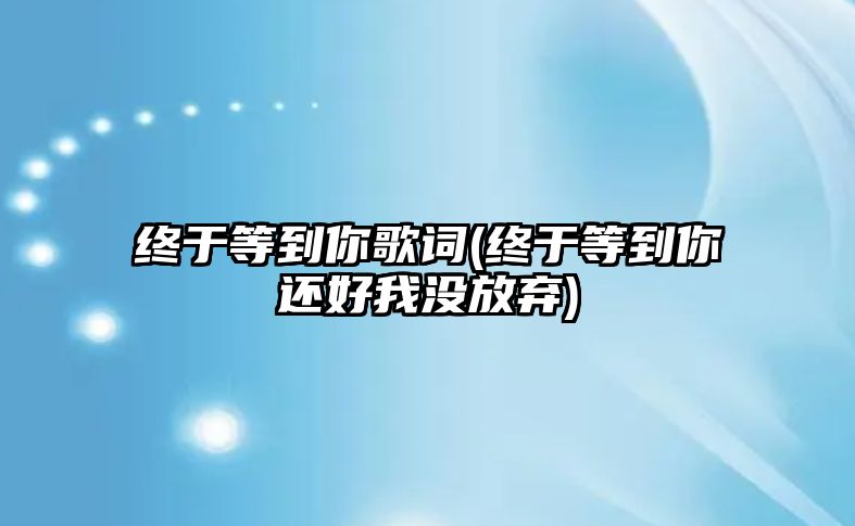 終于等到你歌詞(終于等到你還好我沒放棄)