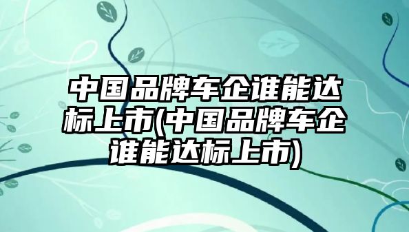 中國品牌車企誰能達(dá)標(biāo)上市(中國品牌車企誰能達(dá)標(biāo)上市)