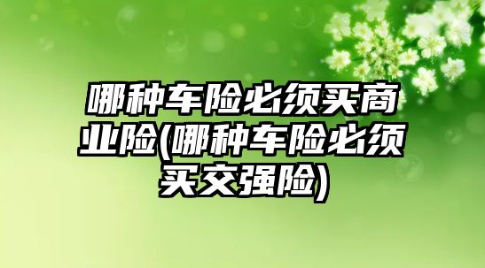 哪種車險必須買商業(yè)險(哪種車險必須買交強險)