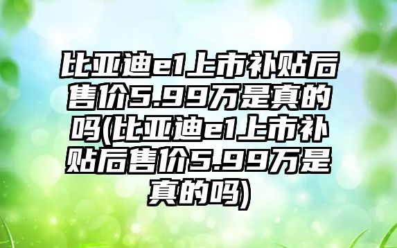 比亞迪e1上市補(bǔ)貼后售價(jià)5.99萬(wàn)是真的嗎(比亞迪e1上市補(bǔ)貼后售價(jià)5.99萬(wàn)是真的嗎)