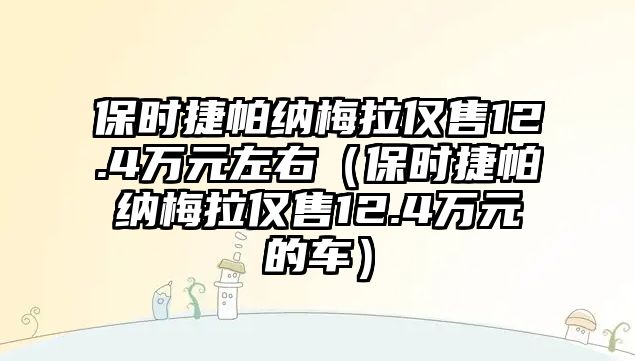 保時捷帕納梅拉僅售12.4萬元左右（保時捷帕納梅拉僅售12.4萬元的車）