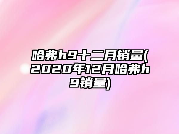 哈弗h9十二月銷量(2020年12月哈弗h9銷量)