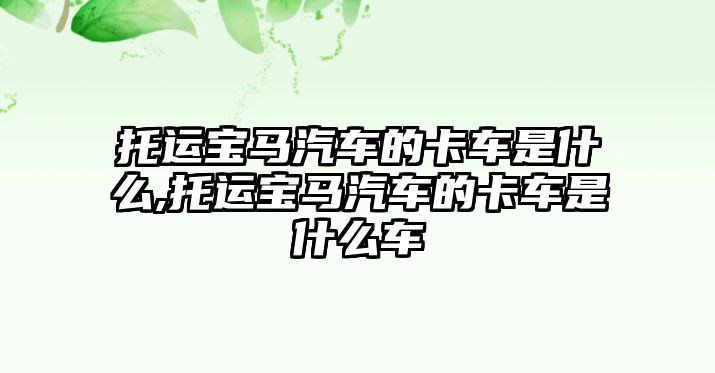 托運(yùn)寶馬汽車的卡車是什么,托運(yùn)寶馬汽車的卡車是什么車