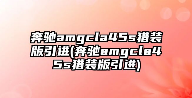 奔馳amgcla45s獵裝版引進(奔馳amgcla45s獵裝版引進)