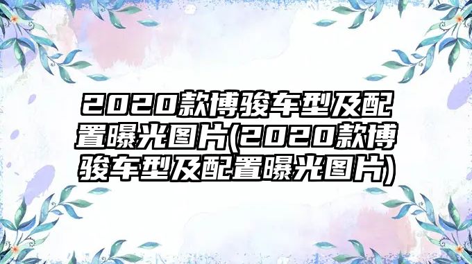 2020款博駿車型及配置曝光圖片(2020款博駿車型及配置曝光圖片)