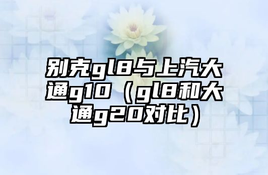 別克gl8與上汽大通g10（gl8和大通g20對(duì)比）